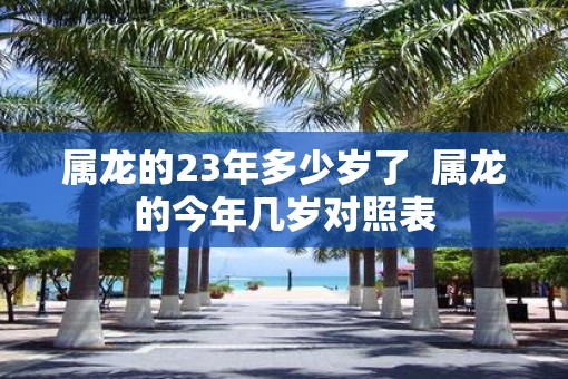 属龙的23年多少岁了  属龙的今年几岁对照表