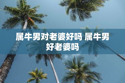 属牛男对老婆好吗 属牛男好老婆吗