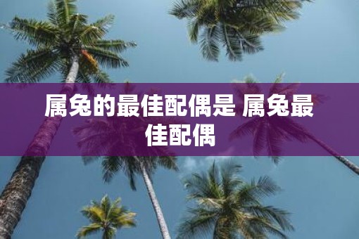 属兔的最佳配偶是 属兔最佳配偶