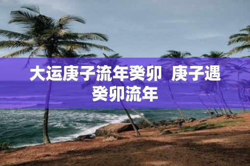 大运庚子流年癸卯  庚子遇癸卯流年