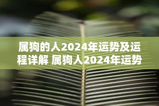 属狗的人2025年运势及运程详解 属狗人2025年运势如何