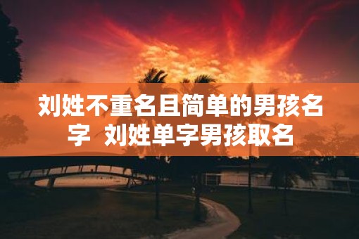 刘姓不重名且简单的男孩名字  刘姓单字男孩取名