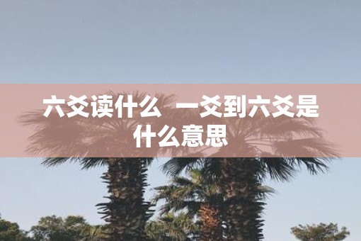 六爻读什么  一爻到六爻是什么意思