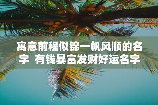 寓意前程似锦一帆风顺的名字  有钱暴富发财好运名字