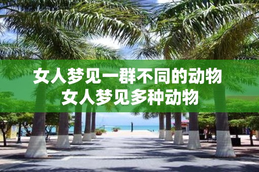 女人梦见一群不同的动物 女人梦见多种动物