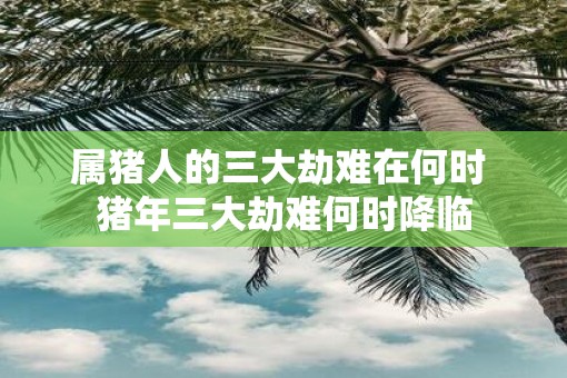 属猪人的三大劫难在何时 猪年三大劫难何时降临