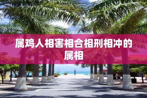属鸡人相害相合相刑相冲的属相