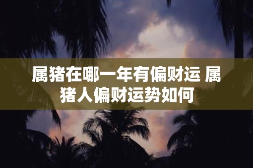 属猪在哪一年有偏财运 属猪人偏财运势如何