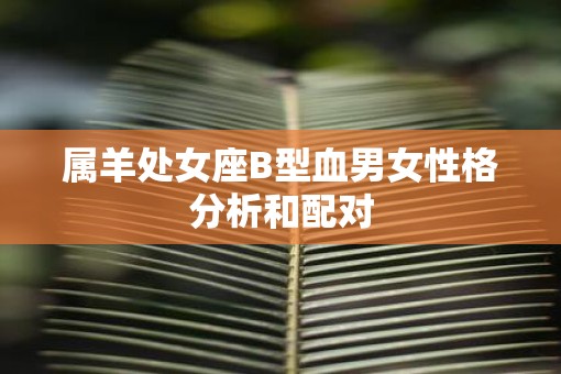 属羊处女座B型血男女性格分析和配对