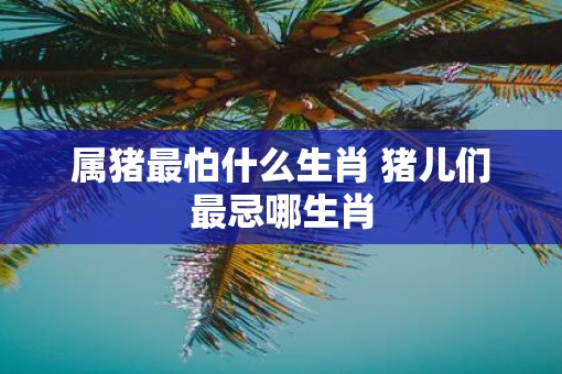 属猪最怕什么生肖 猪儿们最忌哪生肖