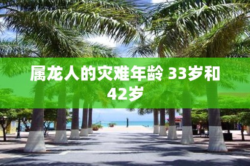 属龙人的灾难年龄 33岁和42岁