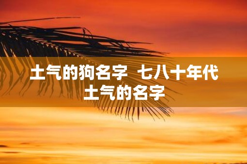 土气的狗名字  七八十年代土气的名字