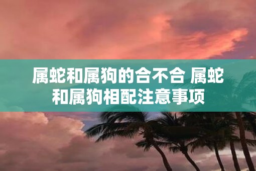 属蛇和属狗的合不合 属蛇和属狗相配注意事项