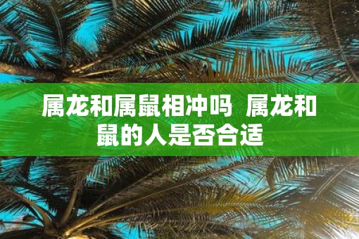 属龙和属鼠相冲吗  属龙和鼠的人是否合适