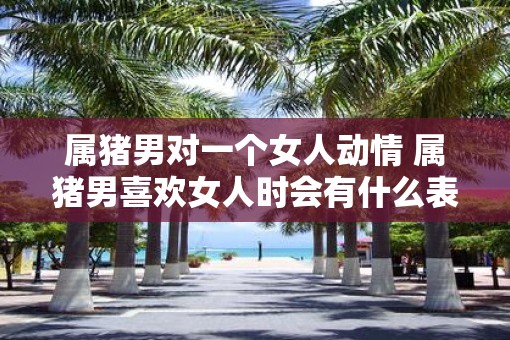 属猪男对一个女人动情 属猪男喜欢女人时会有什么表现