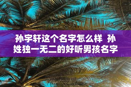 孙宇轩这个名字怎么样  孙姓独一无二的好听男孩名字