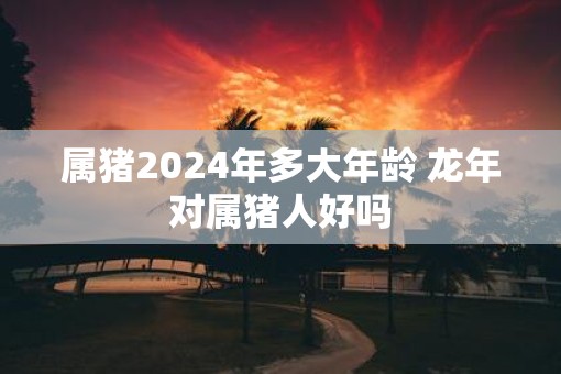 属猪2025年多大年龄 蛇年对属猪人好吗