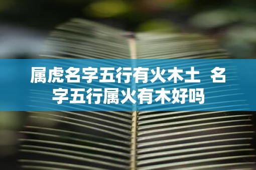属虎名字五行有火木土  名字五行属火有木好吗