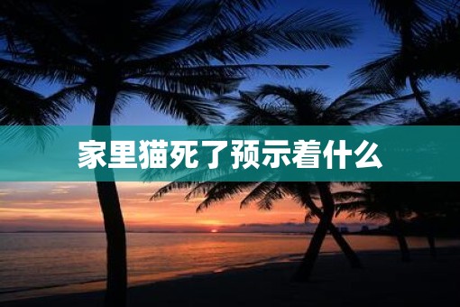家里猫死了预示着什么