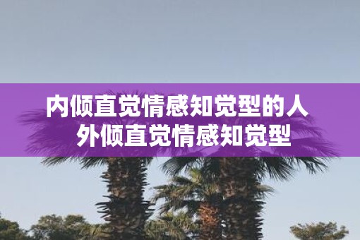 内倾直觉情感知觉型的人  外倾直觉情感知觉型