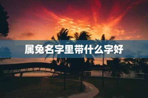 属兔名字里带什么字好