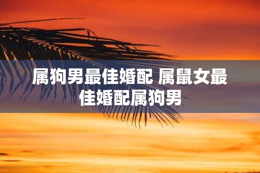 属狗男最佳婚配 属鼠女最佳婚配属狗男