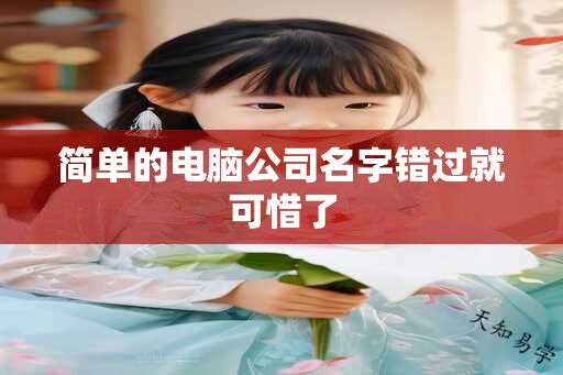 简单的电脑公司名字错过就可惜了