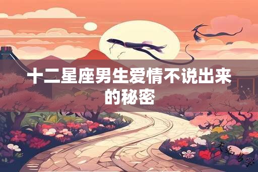十二星座男生爱情不说出来的秘密