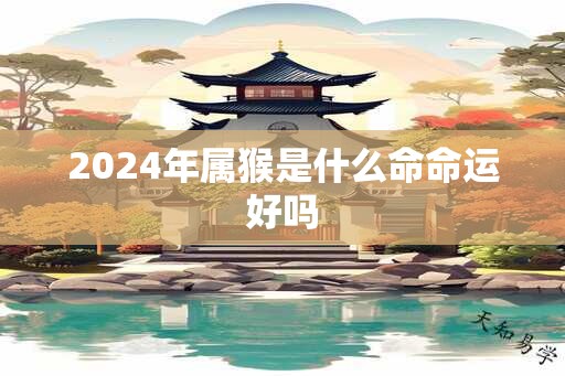 2024年属猴是什么命命运好吗