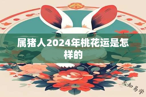 属猪人2024年桃花运是怎样的