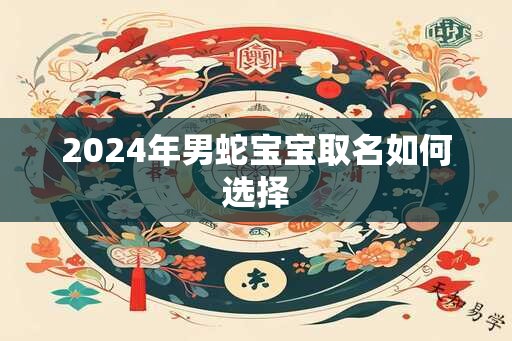 2024年男蛇宝宝取名如何选择