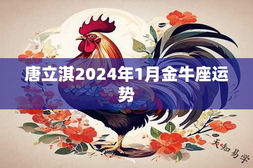 唐立淇2024年1月金牛座运势