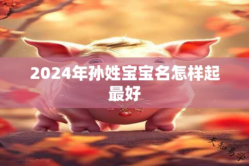 2024年孙姓宝宝名怎样起最好