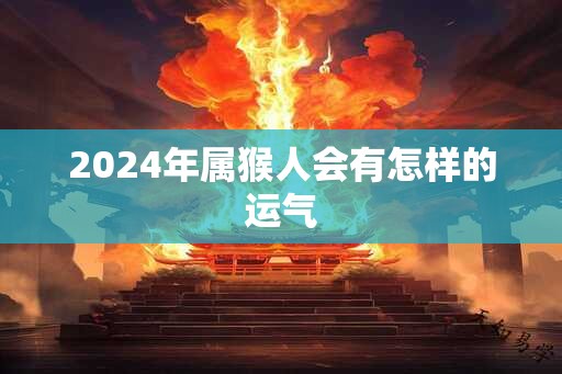 2024年属猴人会有怎样的运气