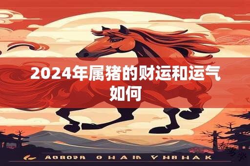 2024年属猪的财运和运气如何