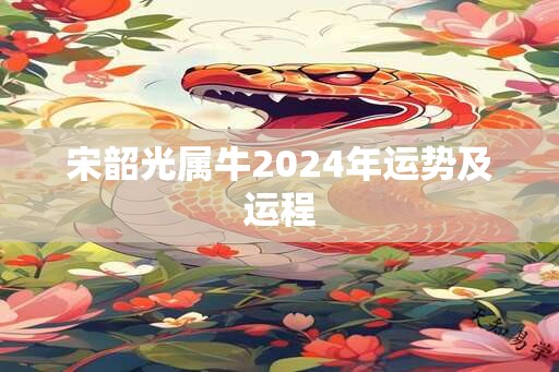 宋韶光属牛2024年运势及运程