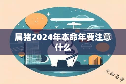 属猪2024年本命年要注意什么