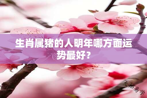 生肖属猪的人明年哪方面运势最好？