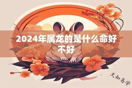 2024年属龙的是什么命好不好