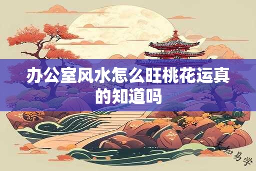 办公室风水怎么旺桃花运真的知道吗