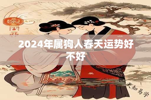 2024年属狗人春天运势好不好