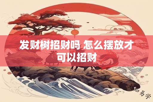 发财树招财吗 怎么摆放才可以招财