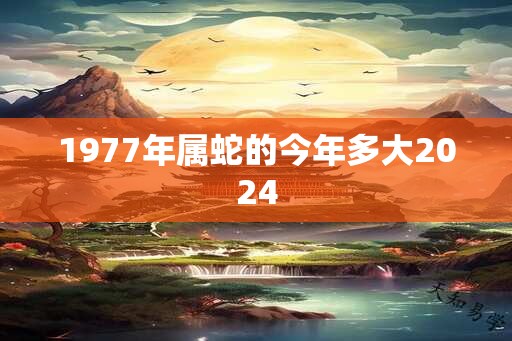 1977年属蛇的今年多大2024