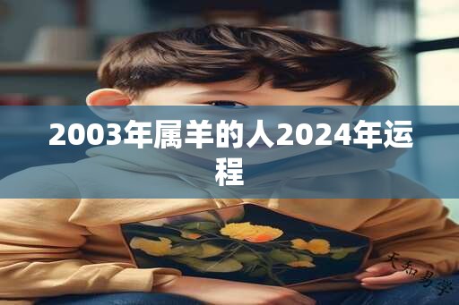 2003年属羊的人2024年运程