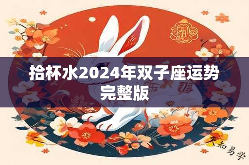 拾杯水2024年双子座运势完整版