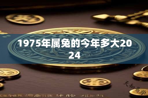 1975年属兔的今年多大2024