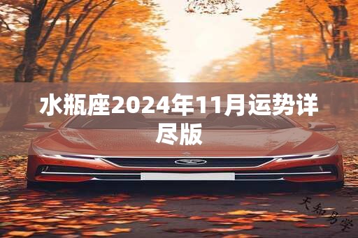 水瓶座2024年11月运势详尽版