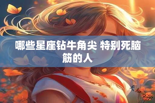 哪些星座钻牛角尖 特别死脑筋的人