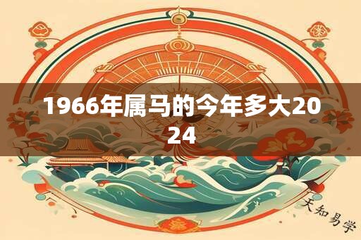 1966年属马的今年多大2025