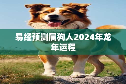 易经预测属狗人2024年龙年运程